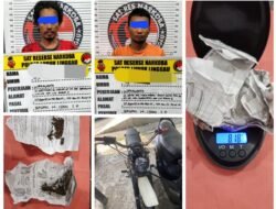 Kantongi 8 Gram Daun Setan, Dua Pelaku Ditahan