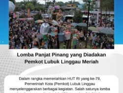 Lomba Panjat Pinang yang Diadakan Pemkot Lubuk Linggau Meriah